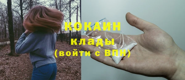 шишки Аркадак