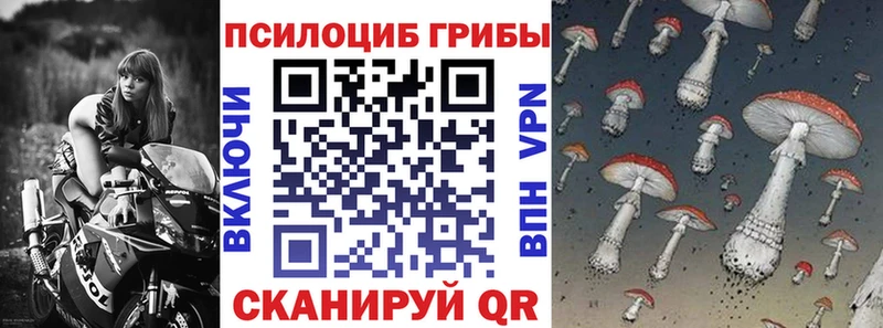 darknet как зайти  Данков  Псилоцибиновые грибы мухоморы 